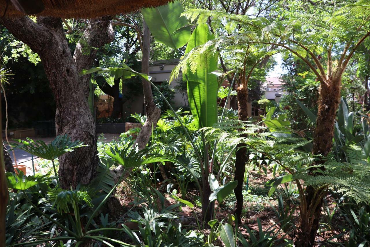 Greenwoods Self-Catering Pretoria-Noord Dış mekan fotoğraf